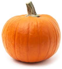 Image result for pumpkin